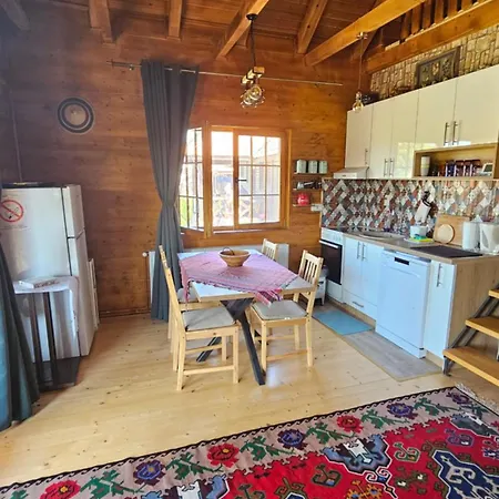 Eko Kuca Zlatiborsko Srce Tatil Evi *