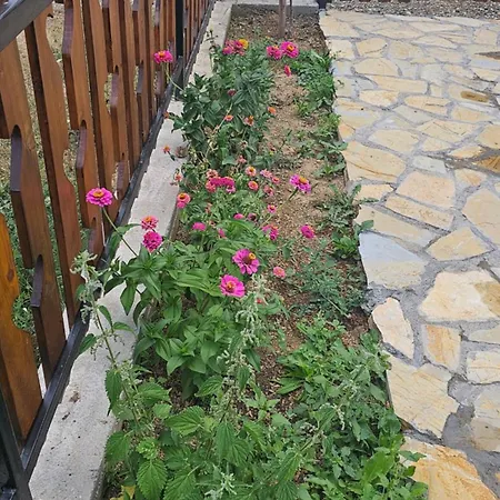 Eko Kuca Zlatiborsko Srce *